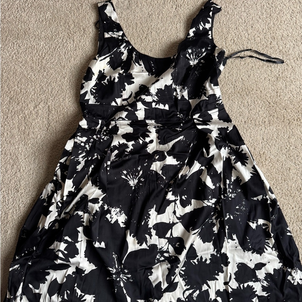 Ann Taylor Monochrome Floral Dress